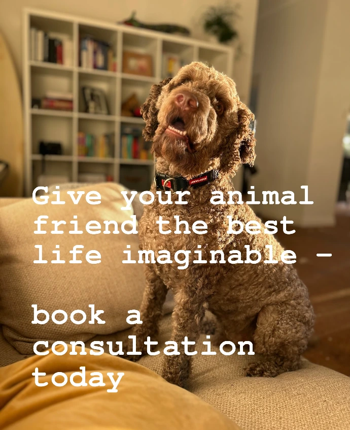 book a consultation book a consultation